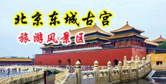 用大鸡巴干女人骚逼中国北京-东城古宫旅游风景区